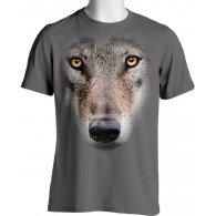 Gray Wolf 